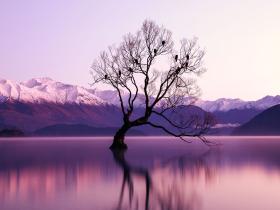 像水一样