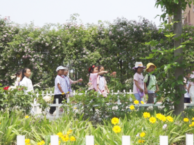 【全环境立德树人】山东沂源县东里镇:结对共建“彩虹桥” 同心共筑成长路