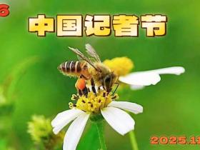 致全球新闻工作者:以笔为炬,照亮时代的每一个角落