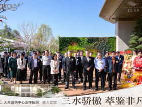 三水骄傲,萃鉴非凡!淼汇·天萃重新定义人居标准