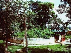 中國高鐵站,有了“當陽西”