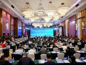 2025年广东省产业园区(阳江)产业链 协同发展大会在阳江召开