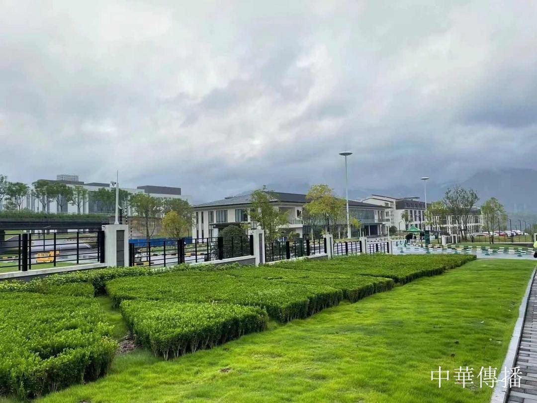 把事情做正确的人 终成时间的朋友-图片1