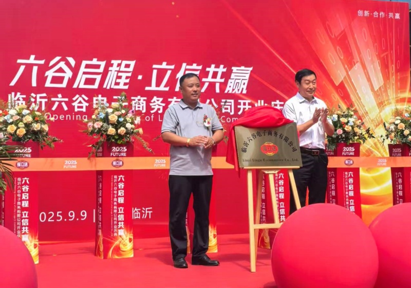 临沂六谷盛大启幕，谱写电商产业新篇章 ——临沂六谷开业庆典仪式圆满举行-图片3