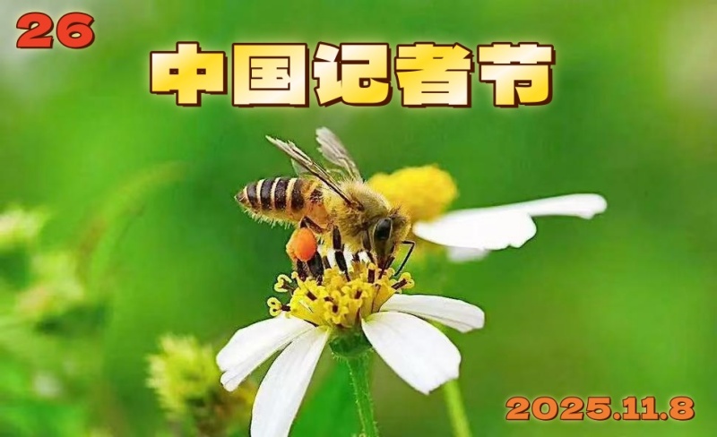 致全球新闻工作者:以笔为炬,照亮时代的每一个角落