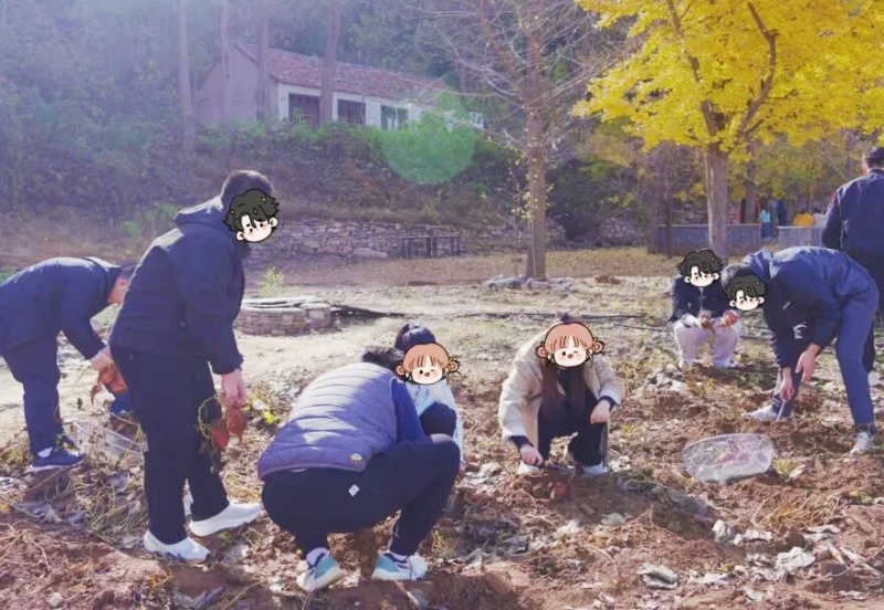 “青 春 悦 动 · 沂 见 青 心” 露营季青年交友联谊活动举办-图片3