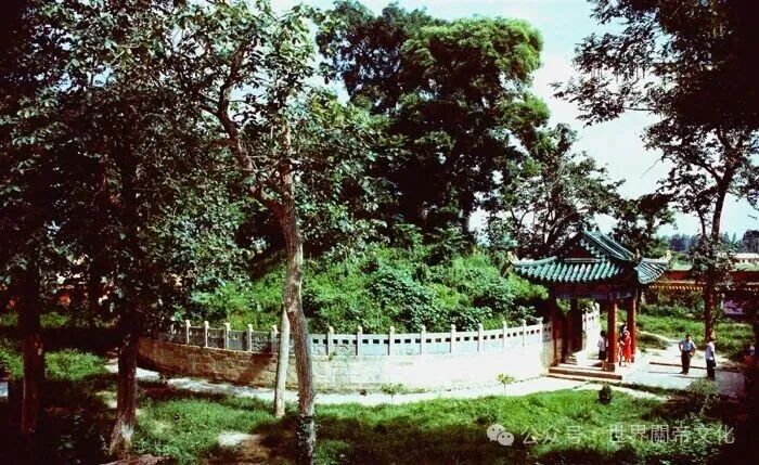 中國高鐵站，有了“當陽西”-图片1