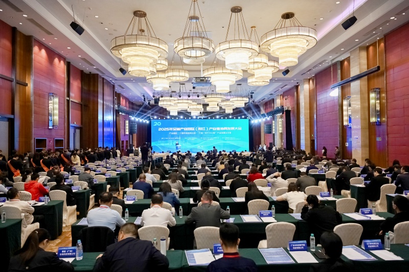 2025年广东省产业园区（阳江）产业链 协同发展大会在阳江召开