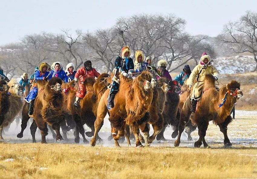 “歌游内蒙古·欢乐正蓝旗” 2026浑善达克冰雪季即将燃情启幕-图片9