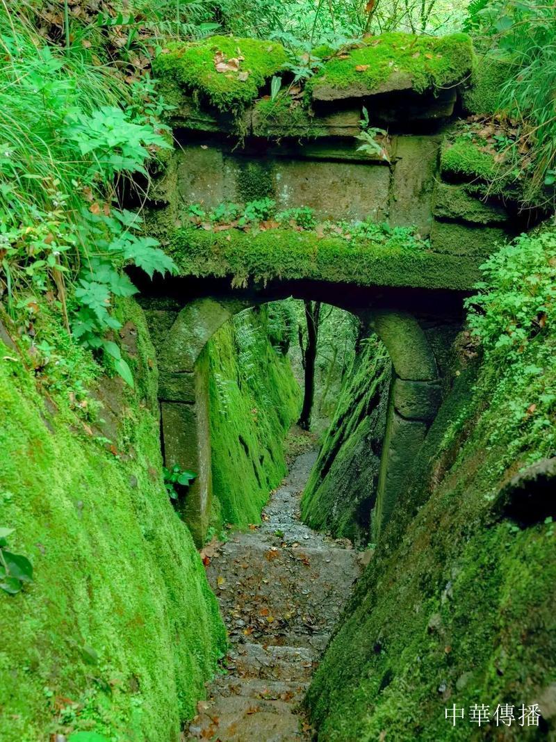 吳穎鴻:講好當代中國故事任重道遠——在世界華文記者協會—2025武夷山高峰論壇上的講話-图片2