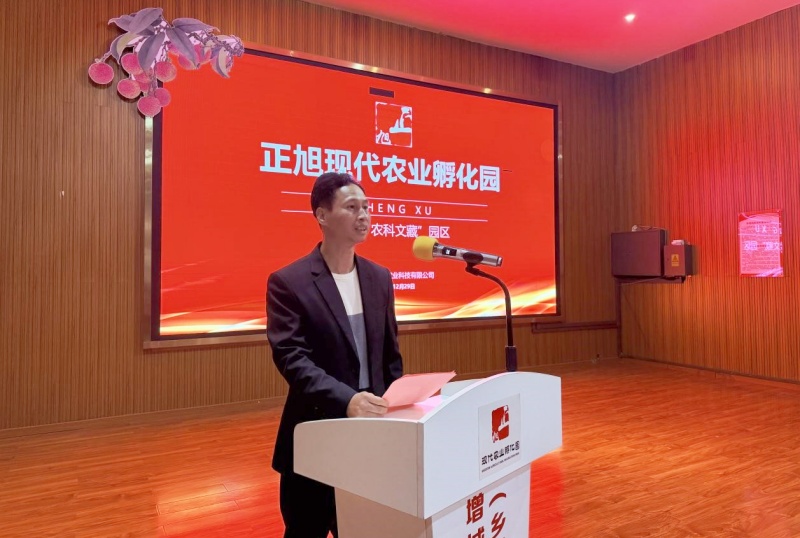 四海一心，菜出精彩 | 正旭2025年增城区港澳台侨迟菜心文化经贸交流活动圆满举行-图片3