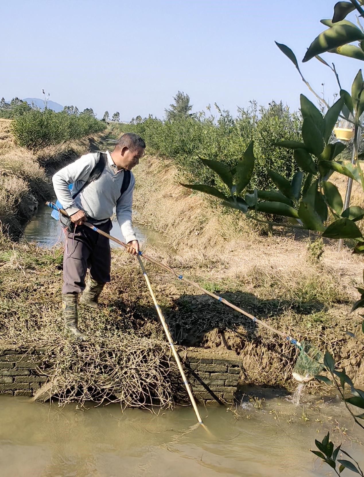 【图说侨乡】新会醉美：沙仔岛的歌声