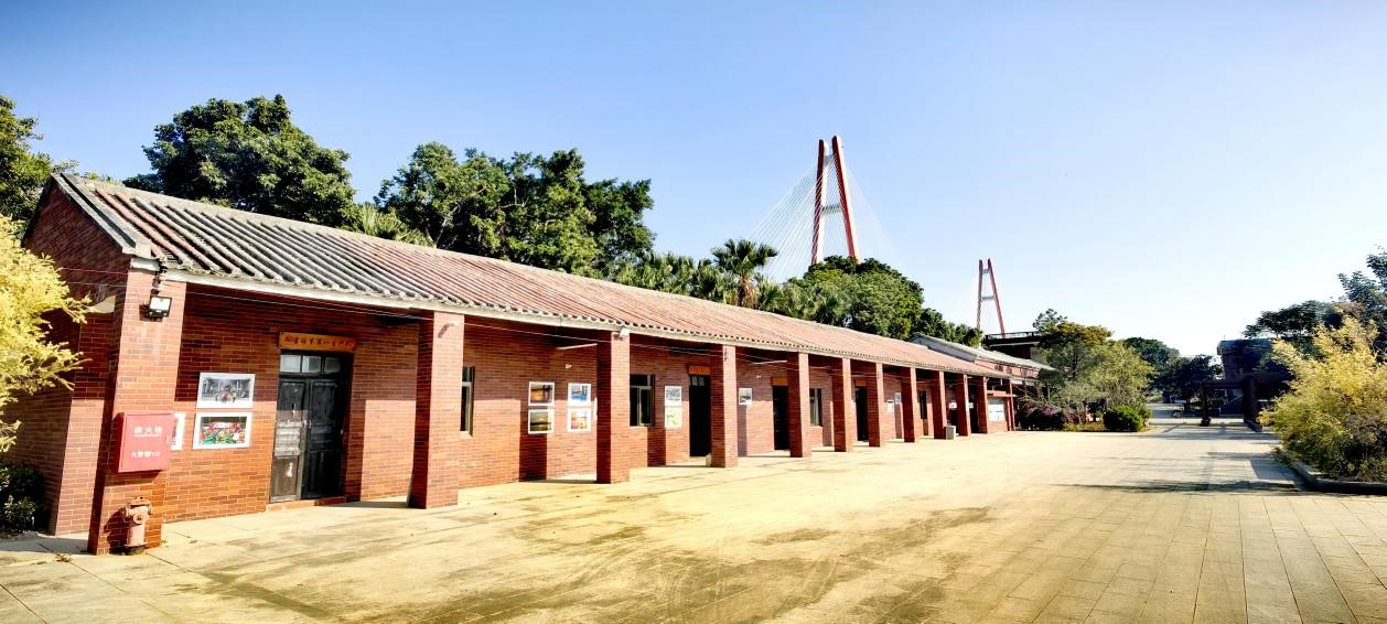 【图说侨乡】新会醉美：沙仔岛的歌声