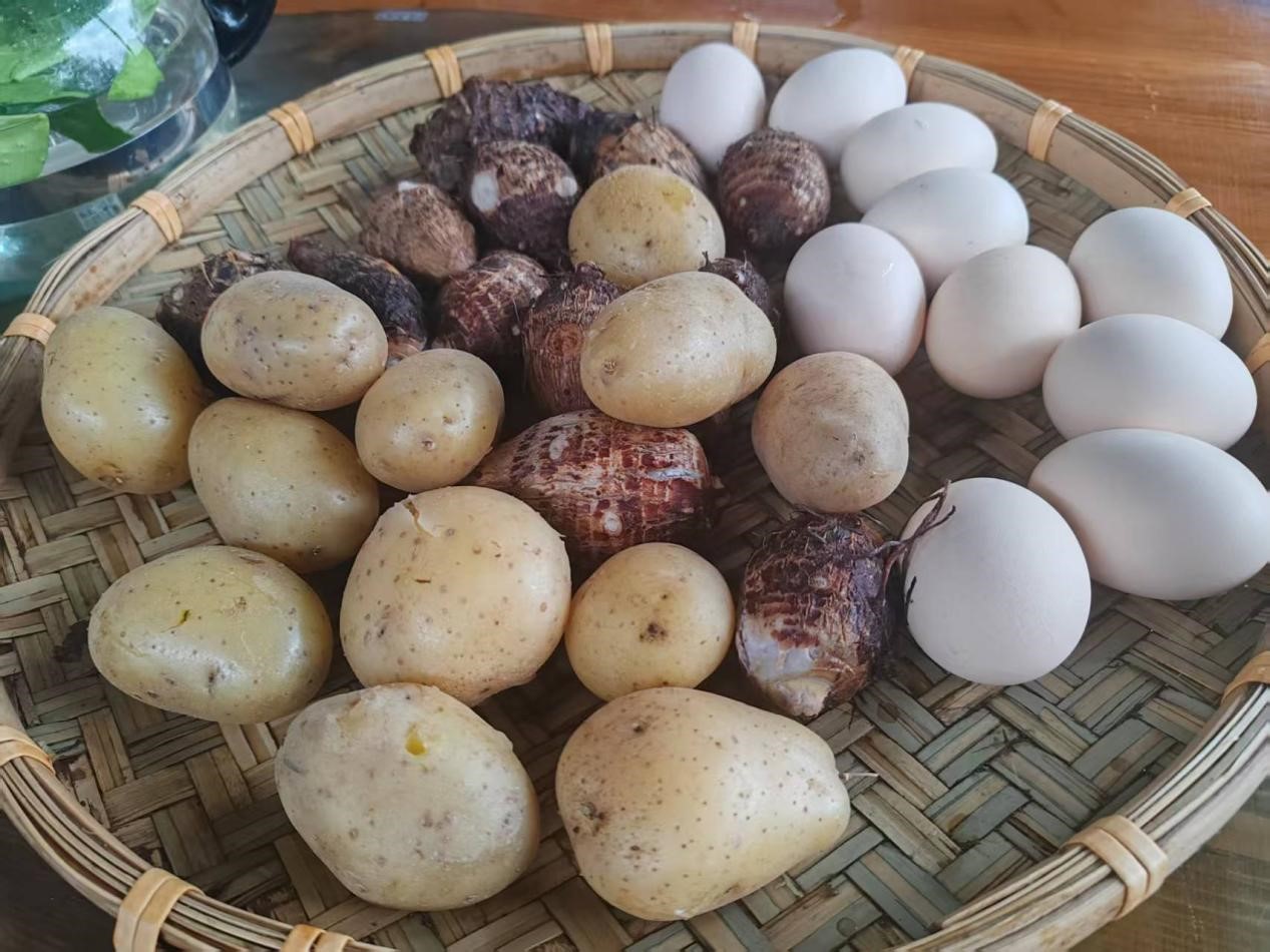 【图说侨乡】新会醉美：沙仔岛的歌声