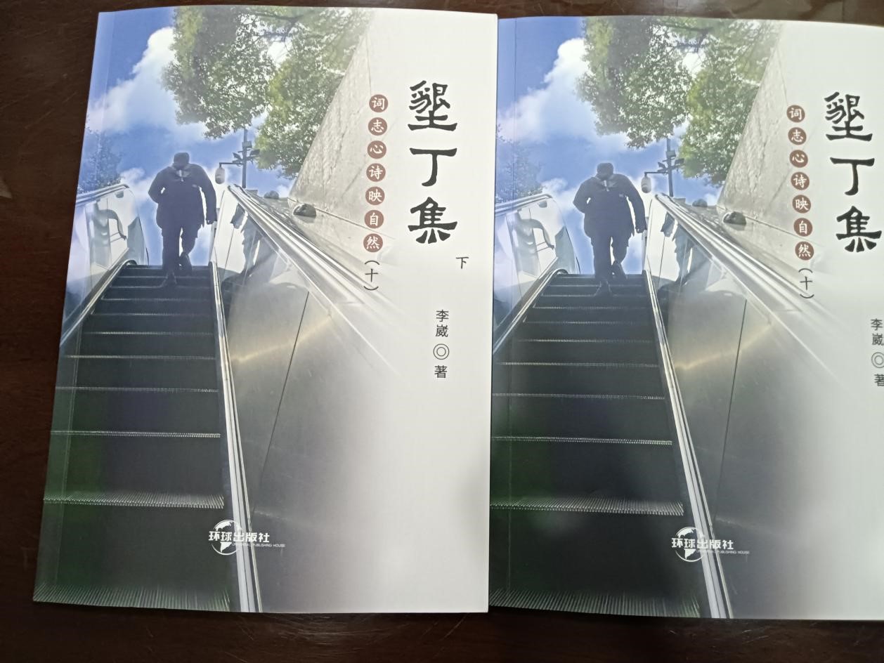 【侨乡文化】李崴诗词集《垦丁集（十）》出版-图片1