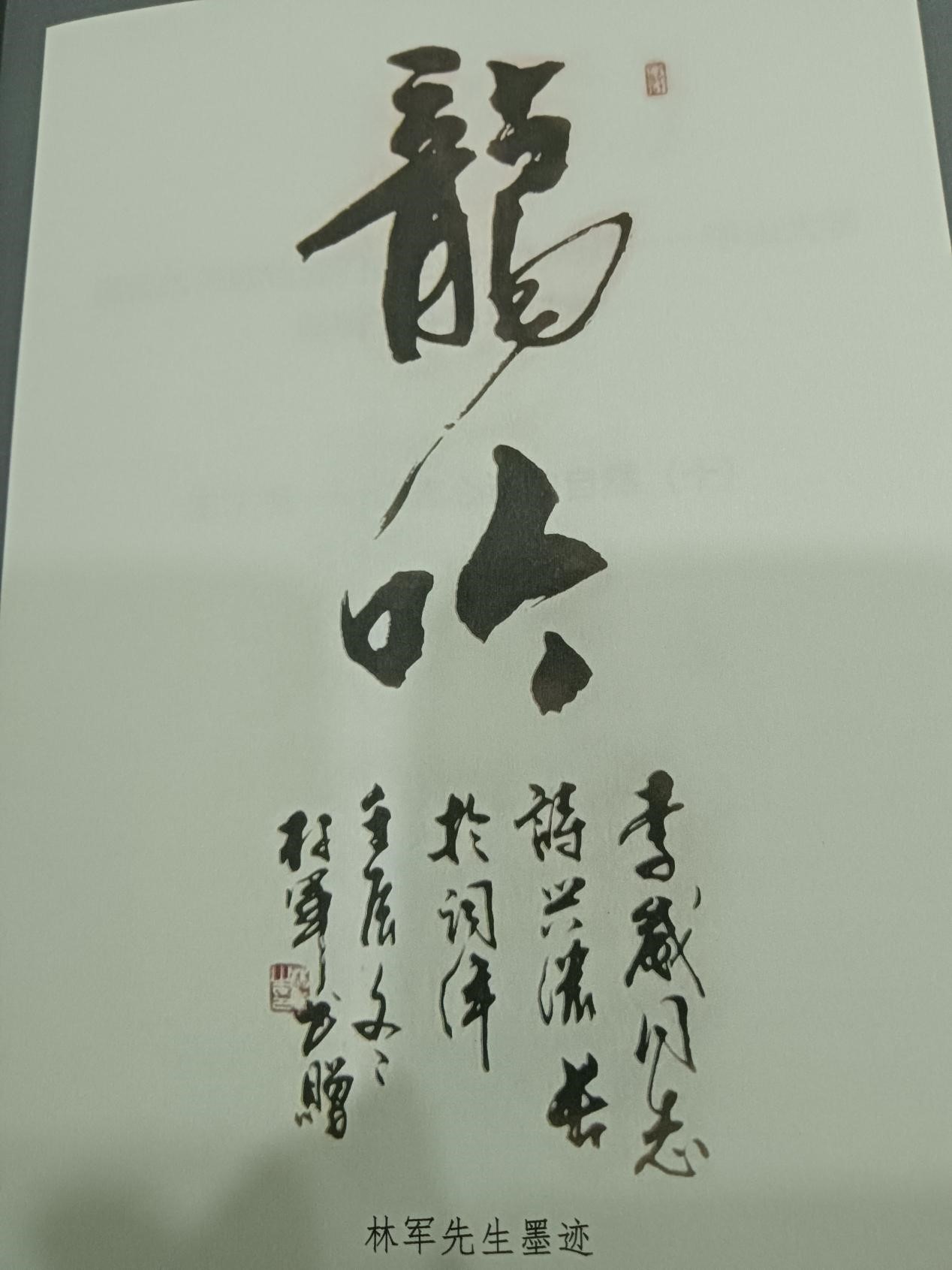 【侨乡文化】李崴诗词集《垦丁集（十）》出版-图片2