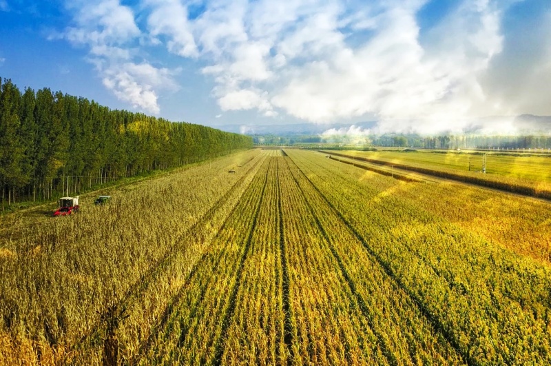 光影逐梦，李串德用镜头书写芮城华章的年度答卷-图片4