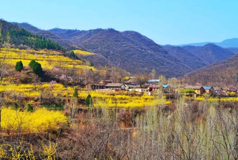 光影逐梦，李串德用镜头书写芮城华章的年度答卷-图片12