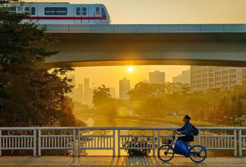 每个人都有自己的《嘉禾望岗》，梦想不再各奔东西